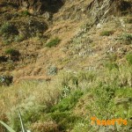 Detalle barandilla al fondo destino barranco de Igueste