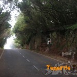 Zona de Pico del Inglés detalle de la carretera