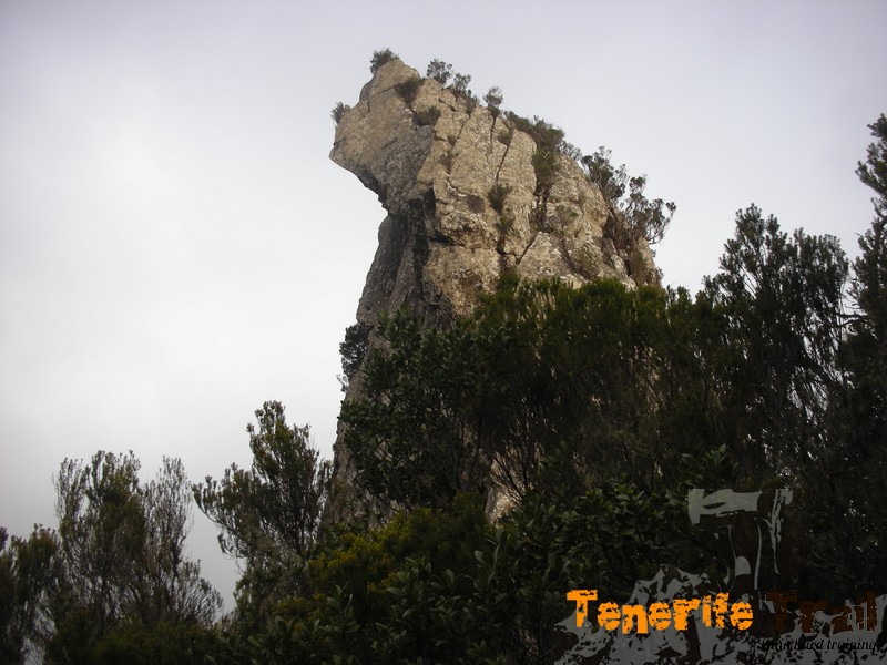 Roque de Anambro