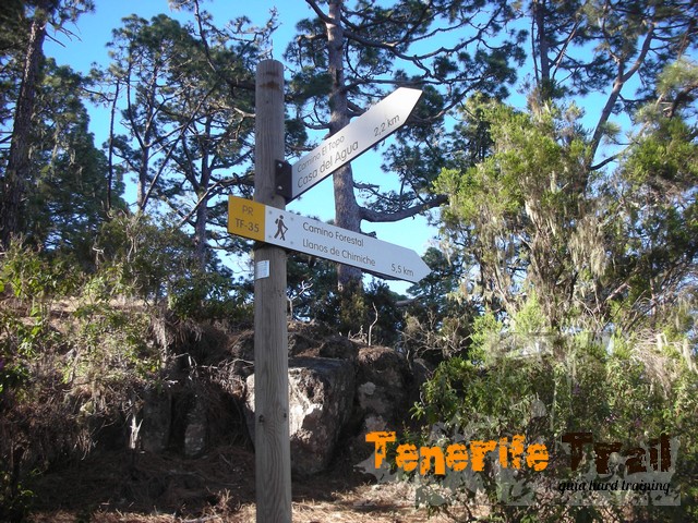 Detalle sendero Camino El Topo-Llanos de Chimiche