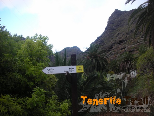 Erjos por Cuevas Negras (PR 53)