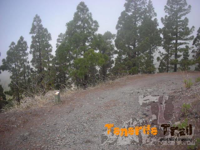 Pista por encima de Santiago del Teide