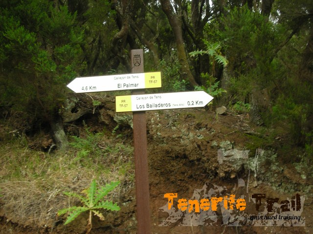 Sendero 57 dirección a El Palmar