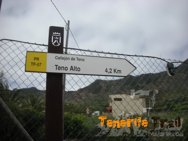 Sendero TF 57 a 4,2 km de -Teno