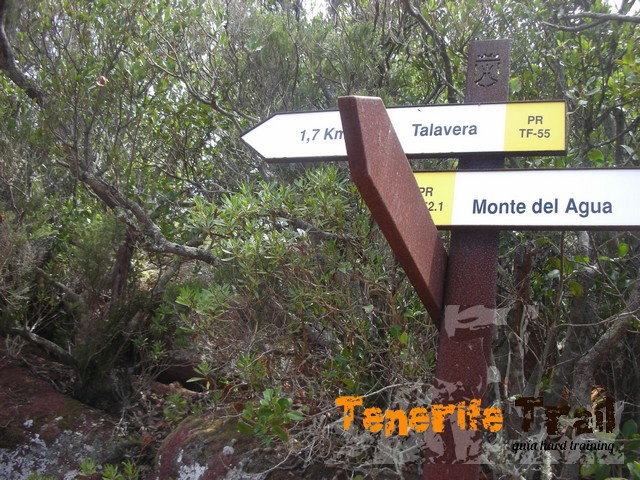 otro detalle del Pr 55 cerca de Talavera
