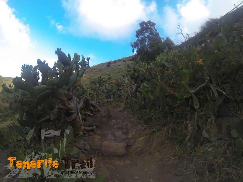 Sendero por debajo de la vaquería el de la izquierda