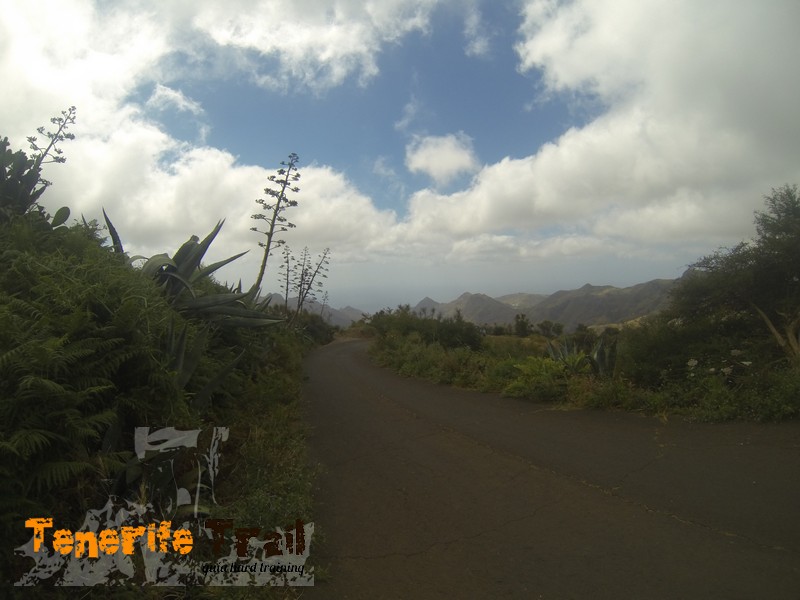 Salida carretera Jardina