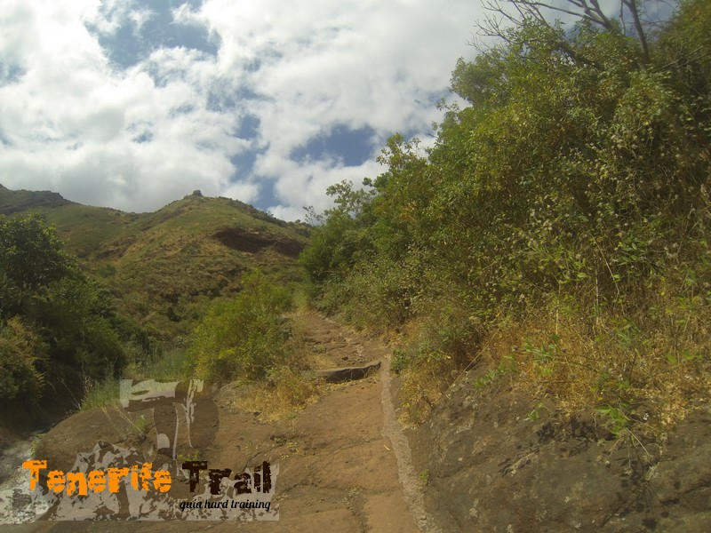Camino hacía presa Tahodio