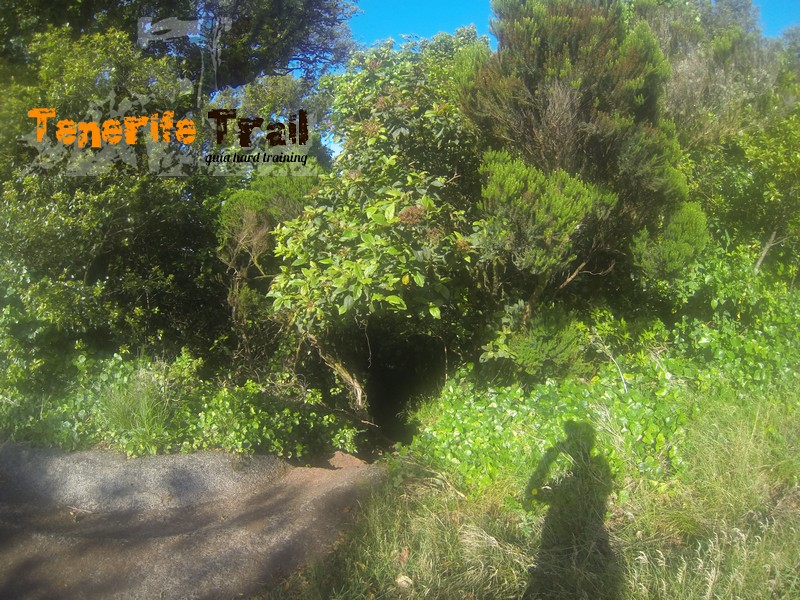 Inicio Monte Aguirre (carretera Pico del Inglés)