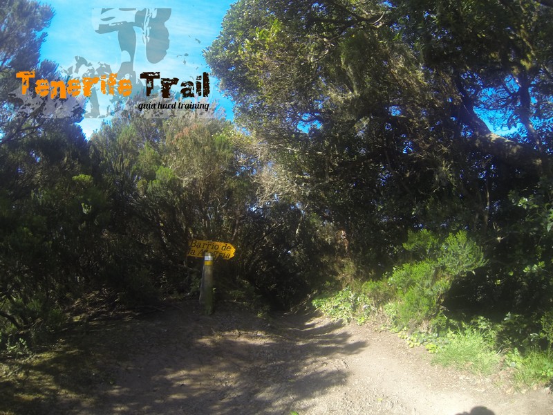 Punto de encuentro con el PR TF 2 (Valleseco-Pico del Inglés)